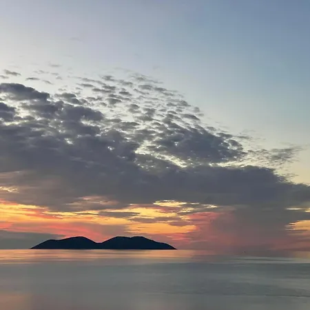 Scandi * Vlore